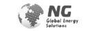 ng global logo